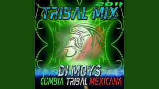 Cumbia Tribal Mix 2011 [upl. by Boleslaw]