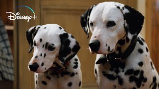 The Puppies get their Collars – 101 Dalmatians HD Movie Clip [upl. by Ahsiloc]