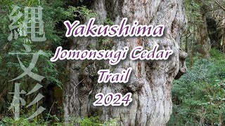 Jomonsugi Cedar Trail Yakushima Island 寻迹屋久島縄文杉 [upl. by Toille974]