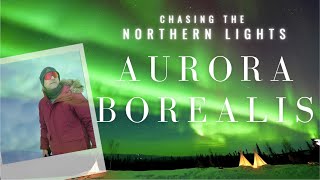 Northern Lights in Alaska  Aurora Borealis  Alaska winter  Season Alaska 4K [upl. by Nivlak922]