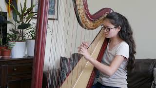 quotRouetquot by Alphonse Hasselmans Shionka KamikajiInkster Harp [upl. by Nevek]