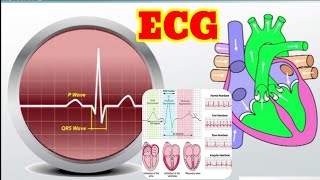 ECG Test in Hindi 📈 ईसीजी टेस्ट क्या है 🔥  Electrocardiogram ❤️ cardiovascular [upl. by Anrehs]