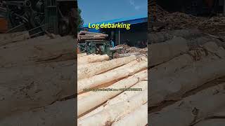 Wood debarking machine works efficiently helping lumber mills to process logs quickly debarker [upl. by Sindee]