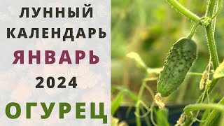 Лунный Посевной Календарь на АПРЕЛЬ 2024  Сажаем только в БЛАГОПРИЯТНЫЕ ДНИ [upl. by Airpal]