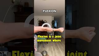 Flexion amp Extension Anatomical movement movement mobility anatomy flexion extension [upl. by Uchida]