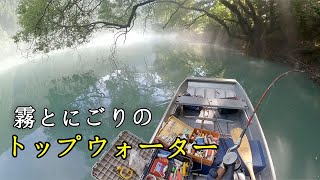 【釣れない釣り】トップウォーターを楽しむ [upl. by Glennis]