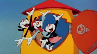 Opening Animaniacs Español Latino [upl. by Cyrill539]