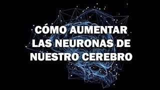 Cómo Aumentar La Producción De Neuronas De Nuestro Cerebro [upl. by Nylirehc]