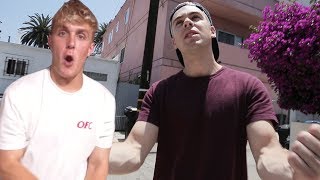 Its Everyday No Jake Paul reaction [upl. by Anaeirb]