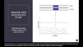 The genetic basis of sex determination in Catostomus fishes  Cassandre Pyne [upl. by Gladwin]