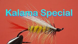 Beginners Fly Tying Series Classic Steelhead Flies  the Kalama Special [upl. by Ainesy]