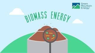 Renewable Energy 101 How Does Biomass Energy Work [upl. by Qulllon]