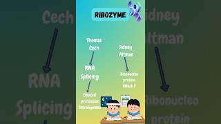 Ribozyme shorts ytshorts youtubeshorts chemistry science viralshort trending like subscribe [upl. by Lissy327]