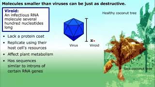 Prions and Viroids [upl. by Malloy142]