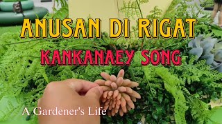 ANUSAN DI RIGAT  NARIGAT DI MAGAY ADAL  IGOROT SONG [upl. by Notnef609]