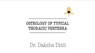 OSTEOLOGY OF TYPICAL THORACIC VERTEBRA [upl. by Trilby]