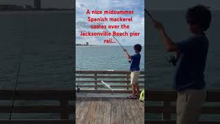 A nice midsummer Spanish mackerel comes over the Jacksonville Beach pier rail… [upl. by Maible214]