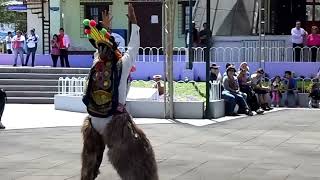 Danza tipica en la mitad del mundo quotEl Diablo Humaquot [upl. by Enelie]