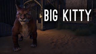 KHAJIIT LORE LESSON  Elsweyr Chapter [upl. by Shantha92]