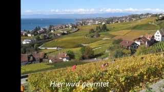 Die Terrassen des Lavaux  30 Okt 2013 [upl. by Shaeffer]