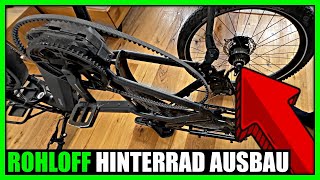 Rohloff Hinterrad als Anfänger bei EBike ausbauen  Tipps vom Zweiradmechniker [upl. by Iral802]