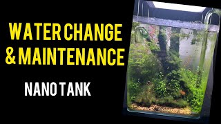 How to do a Water change nano tank aquascape [upl. by Simdars]