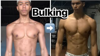 EVOLUÇÃO ECTOMORFO 3 meses em bulking [upl. by Lama]