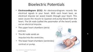 L2 2 Bioelectric potentials [upl. by Cilka]