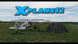 XPlane 12  Погоды стоят Охота на слонов  Piper PA18 KingCub STC V2 [upl. by Atikcir]