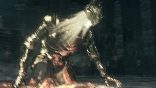 Dark Souls 3  Lothric Younger Prince amp Lorian Elder Prince Boss Fight [upl. by Weisberg]