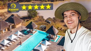 Unglaubliches Hotel mitten in der Wildnis  Luxus Safari in Südafrika 🇿🇦 [upl. by Tsew]