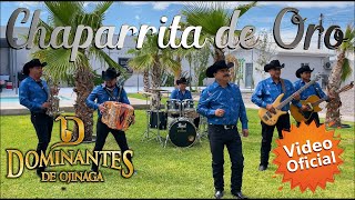 Chaparrita de Oro  Dominantes de Ojinaga  Video Oficial MúsicaNorteña [upl. by Nevi]