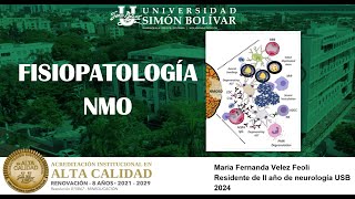 FISIOPATOLOGIA DE LA NEUROMIELITIS OPTICA [upl. by Hcir662]