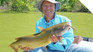 Fish Finder Rig amp Drag Tips  How to Catch Channel Catfish [upl. by Refotsirc495]