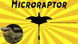 Microraptor Dinosaur of the Day [upl. by Eineeuq]