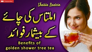 Amaltas Ke Fayde  Amaltas Ki PhaliFali  Cassia Fistula Tree Tea Remedy UrduHindiShaistaBaatein [upl. by Ataga825]