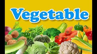 Vegetable Names with Pictures  Different Types Of Vegetables  Healthy Vegetables  Kids Learning [upl. by Vihs]