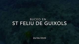 Buceo enSant Feliu de Guixols 26062020 [upl. by Eninahs]