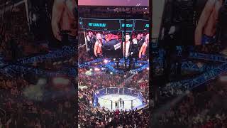 Pat Sabatini  UFC 295 Walkout [upl. by Octavian]