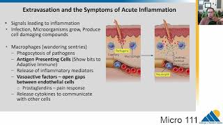 MICRO 111 Ch153 The Inflammatory Response [upl. by Mihar]