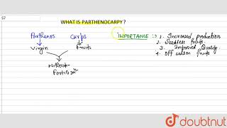 What is parthenocarpy [upl. by Binetta]