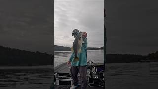 Calling My Shot on a Magnum Spotted BassFFSactivetarget spottedbass bassfishing smithlake [upl. by Einahpets]