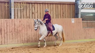 INNERES REITEN  Intensivtage mit Grando  horse reiten horselover dressur equestrian [upl. by Eivol53]