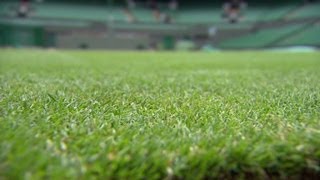 Wimbledon grass prepped for tennis season [upl. by Julide496]