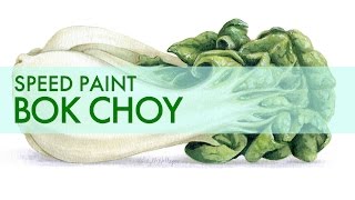 Food Illustration Painting Bok Choy with Watercolor and Mixed Media [upl. by Ethbinium]