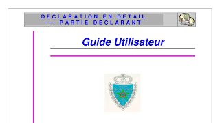 Guide de Déclaration en détail  Partie Déclarant [upl. by Johan]