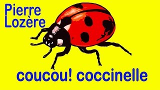 Coucou coccinelle de Pierre Lozère [upl. by Ybbed]