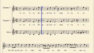 Ave Regina by S Neukomm for SSA choir  choral parts [upl. by Einahpts]