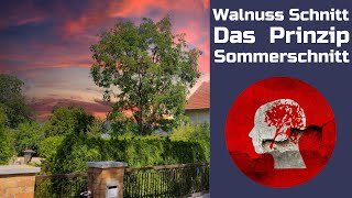 Walnuss schneiden  das muss man wissen [upl. by Bradway]