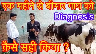 Chronic case of trypanosomiasis l symptoms  treatment l सुर्रा बीमारी का इलाज  l dr umar khan [upl. by Revlis241]